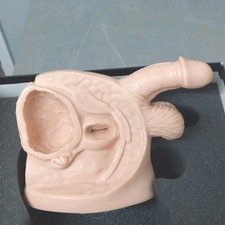 Vintage Adam Rouilly Male