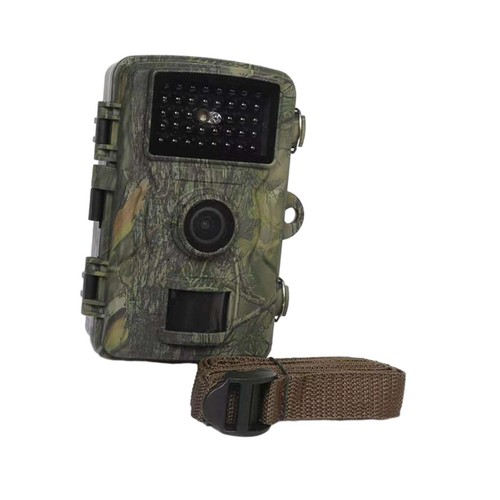 Trail camera scouting - scouting, game