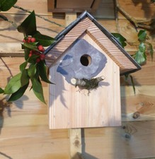 Blue Tit Bird Box Nesting Box