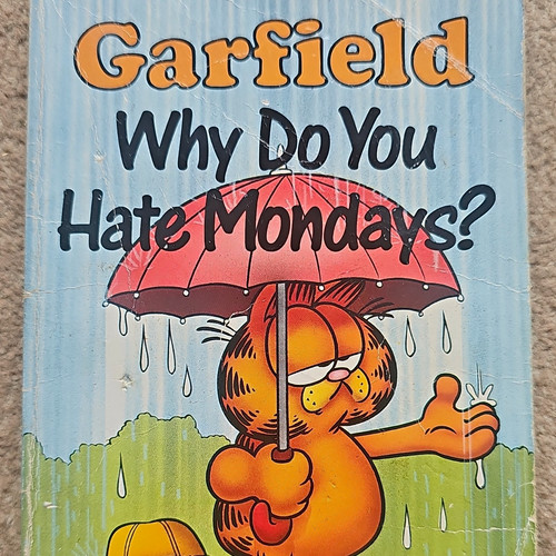 Garfield why you hate - why, do