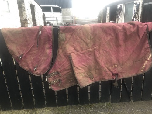 Gallop pony turnout rug - pony,