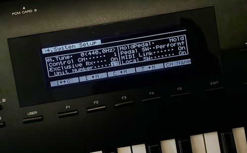 Roland custom - roland,