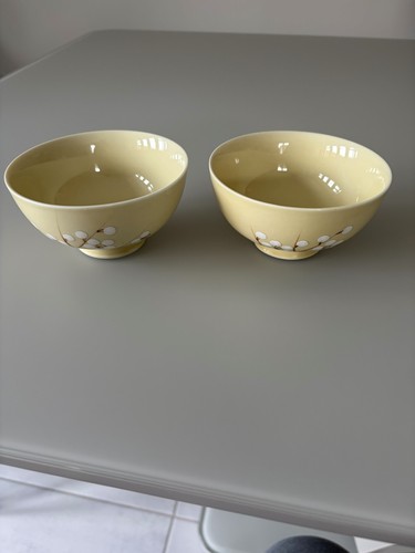 Pair japanese style rice - pair,