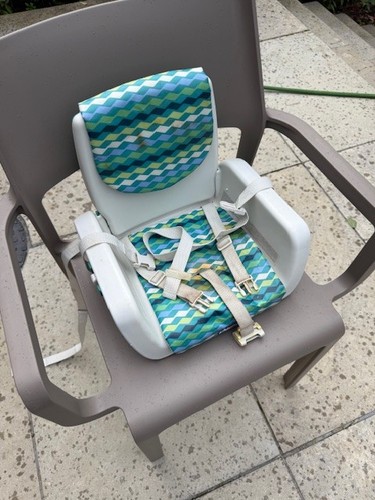 Chicco outdoor toddler seat