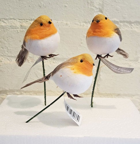 Robin fat reggie - fat, 3
