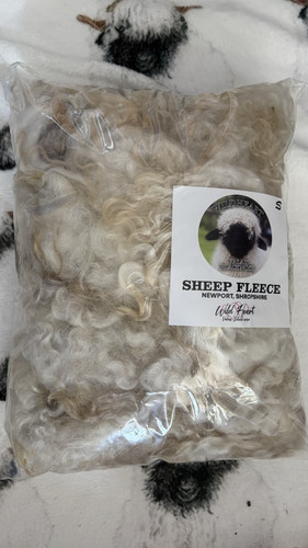 Raw wool fleece from show - wool,