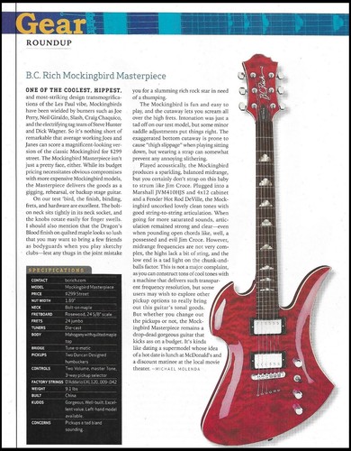 Rich mockingbird - b.c.,