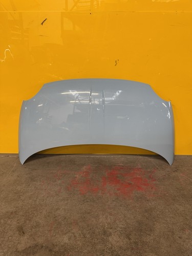 2011 fiat 500 bonnet - 2011,
