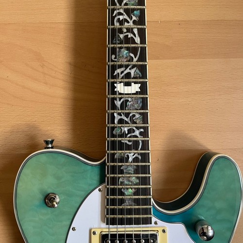 Zuwei customshop semi hollow - zuwei,