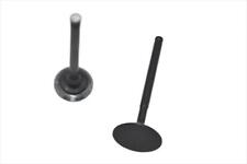 YX160 2v VALVES INTAKE AND