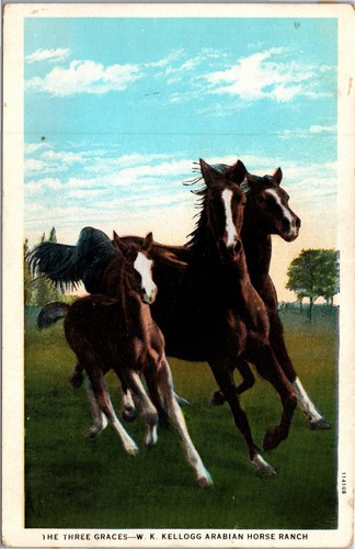 The three graces kellogg - the,