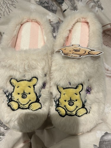 Winnie the pooh slippers - the,