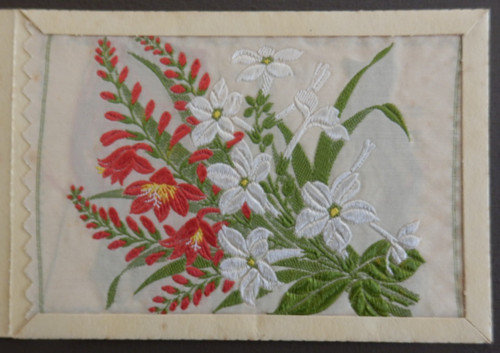 Montbretia and nicotiana - and,