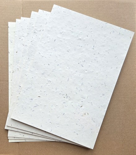 X50 seed paper plantable - a4,