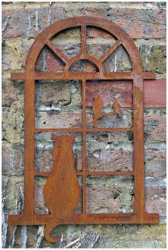 Sitting cat arched window - sitting,