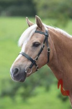 Shires Velociti GARA Plain Inhand Bridle - BLACK-  In Pony Show Equestrian
