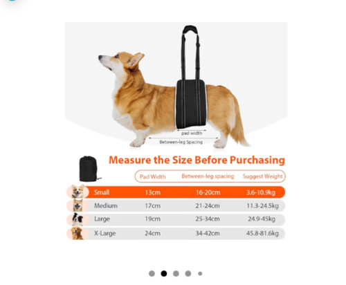Dog mobility aids support - mobility,