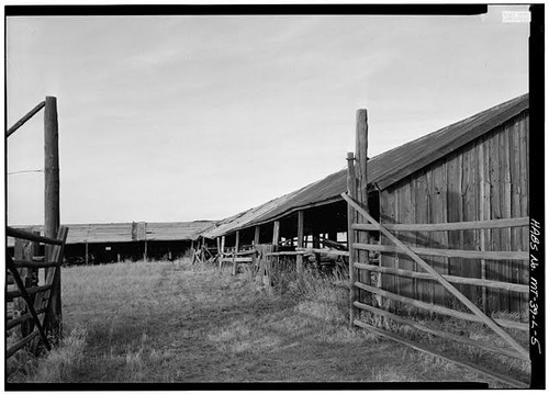 Deer lodge montana grant kohrs - deer, grant-kohrs