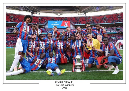 Crystal palace cup - crystal,