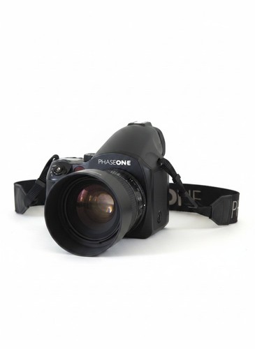 Phase one p30 - p30+, medium
