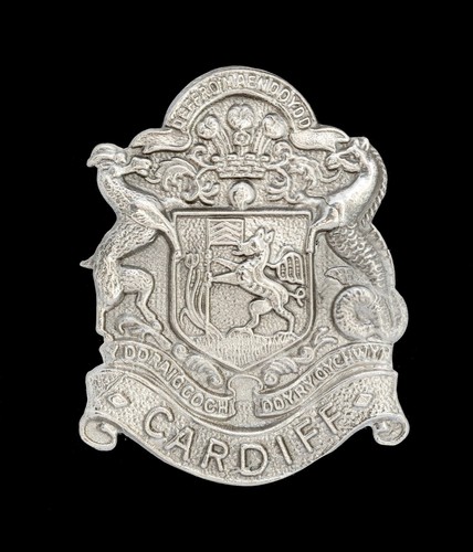 Cardiff pals cap badge - cardiff,