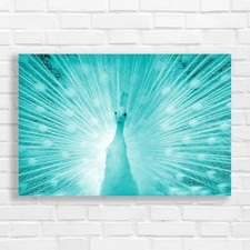 Spacious Home Metadata