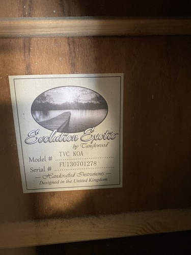 Tanglewood tvc koa evolution - tanglewood,