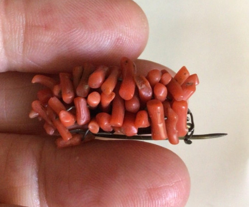 Coral brooch with victorian - victorian, c