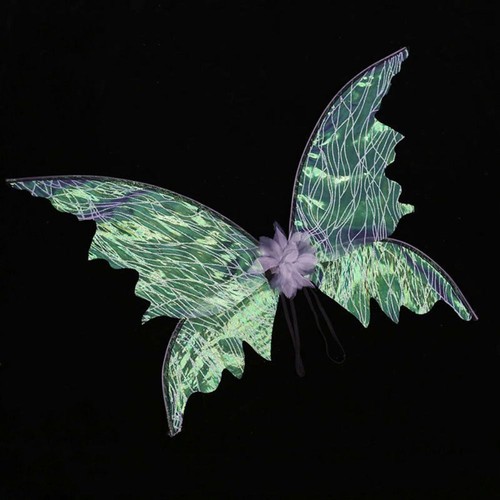 1xfairy wings butterfly - wings,