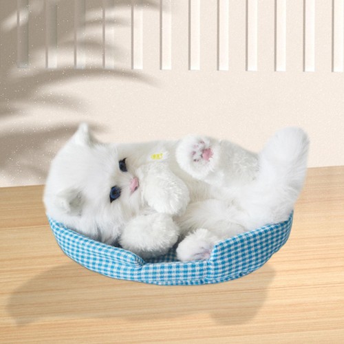 Companion cat simulation - cat,