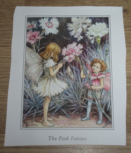 Cicely mary barker pink - mary,