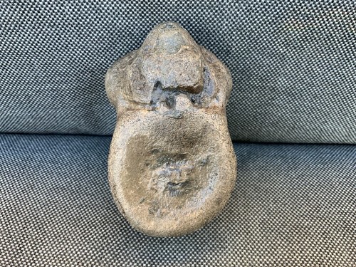 Rare plesiosaur vertebrae - rare,