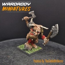 Pro painted Warhammer Fantasy
