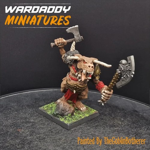 Pro painted warhammer fantasy - painted,