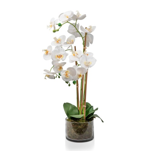 White artificial orchid plant - orchid,