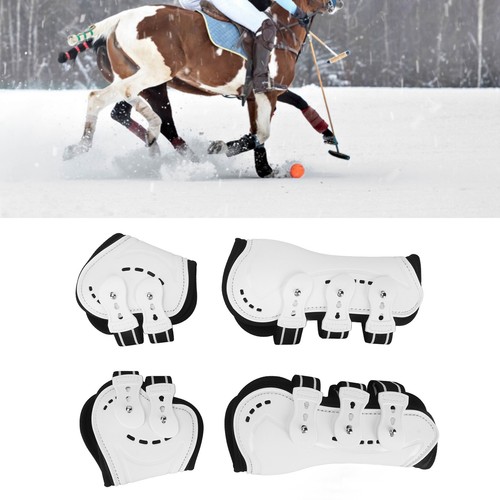 Aklosipy horse tendon - horse,
