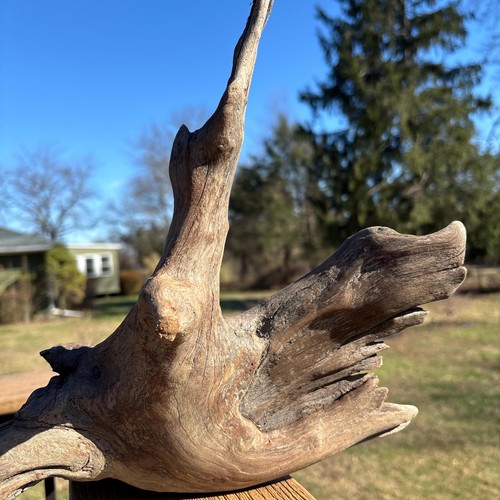 Hardwood driftwood 18x6x11 - hardwood,