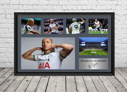 Richarlison signed photo - richarlison,