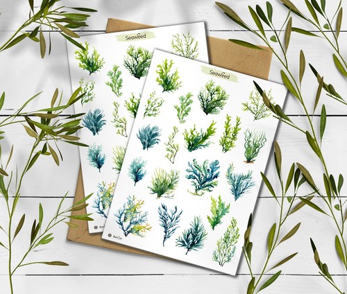 Seaweed stickers sea - seaweed,