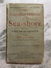 The Common Objects of the