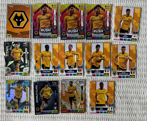 Panini adrenalyn premier - panini,