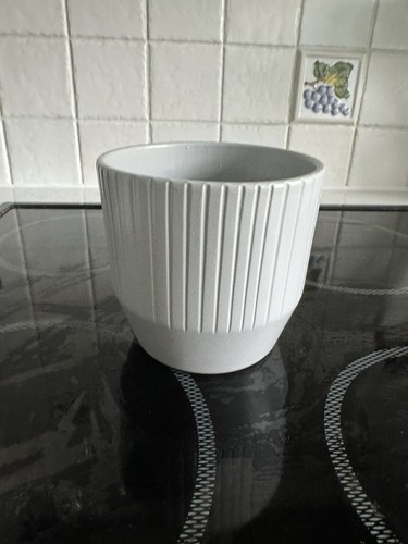 Grey ceramic plant pot - plant,