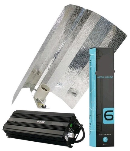 600w digital grow - digital,