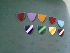 JOB LOT SCHOOL UNIFORM PREFECT ? HOUSE ?  ENAMEL SHIELD PIN BADGES
