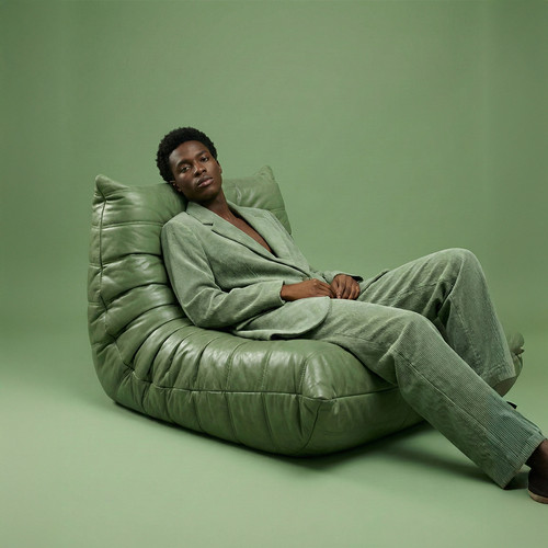 The caterpillar lounger chair - the,