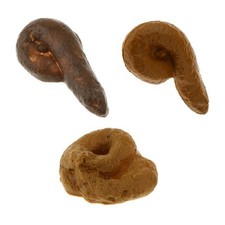 Doggie Doo Doo Poop Dog Crap