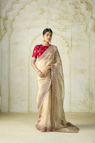 Bollywood style organza - bollywood,