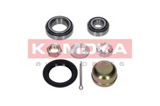 REAR AXLE WHEEL BEARING KIT