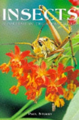 Insects portrait of - of, the