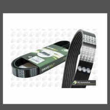 BGA 7PK1675 V-Ribbed Belt